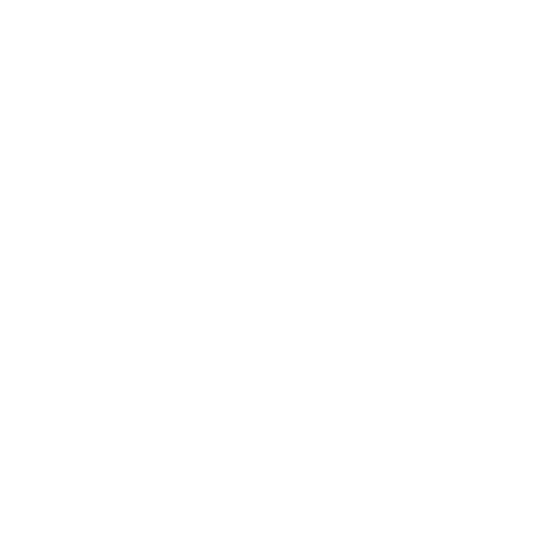 Șoferi Profesioniști