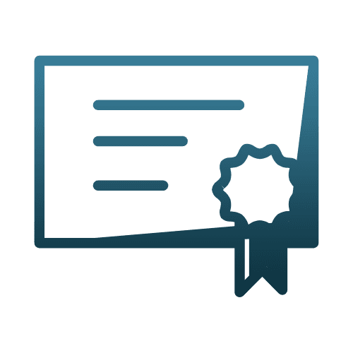 soferi profesionisti